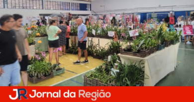 Jundiaí recebe neste final de semana a 9ª edição do Festival Rota das Orquídeas