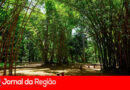 Estado abre concurso para gestão ambiental com salários de R$ 9 mil