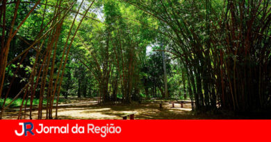 MEIO AMBIENTE copiar