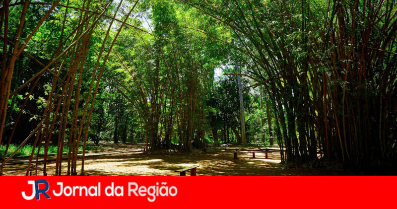 MEIO AMBIENTE copiar