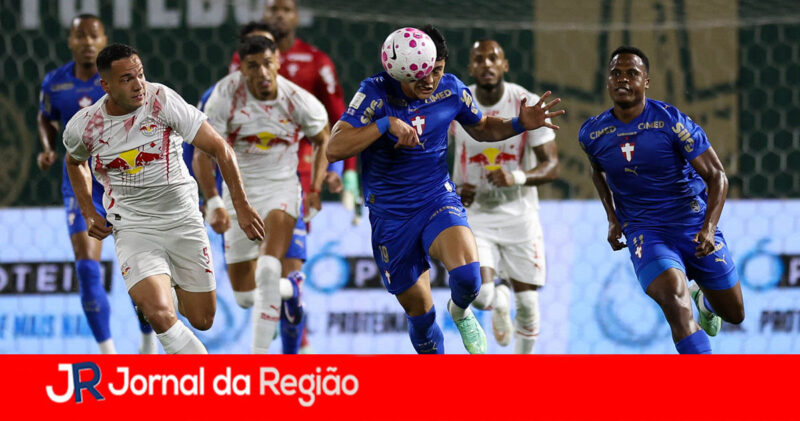 PALMEIRAS copiar 1