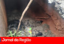 Buraco de grandes proporções se abre na Avenida Frederico Ozanam, na Ponte São João