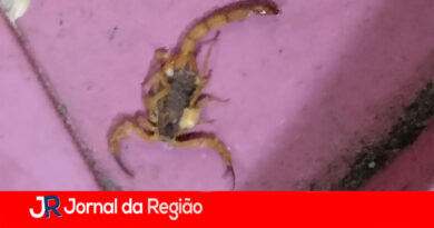 escorpiao jundiai copiar