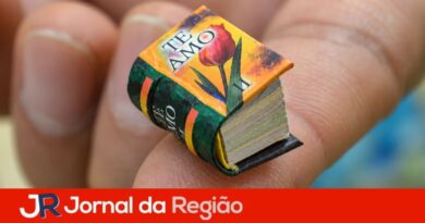 feira maxi miniatura
