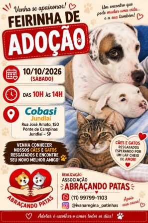 feirinha pets 2