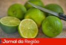 Preço do limão está acima da média, mesmo na entressafra