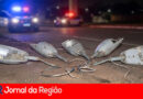 Dois são presos pela Guarda furtando luminárias de postes em Jundiaí